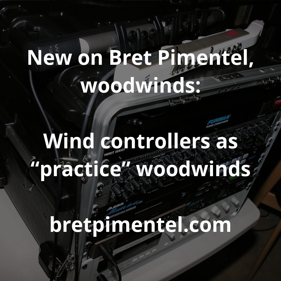 Wind controllers as “practice” woodwinds