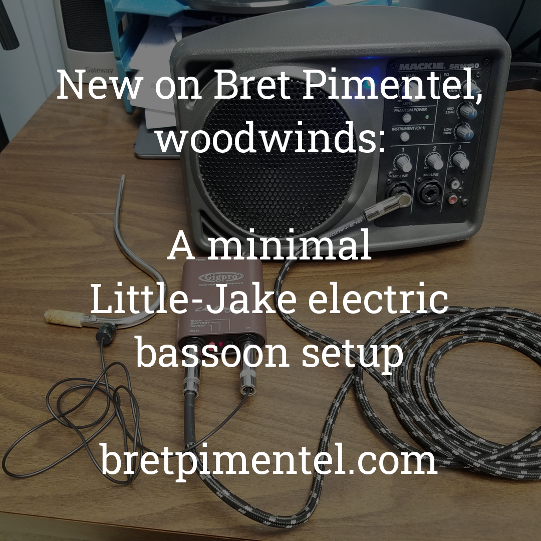 A minimal Little-Jake electric bassoon setup