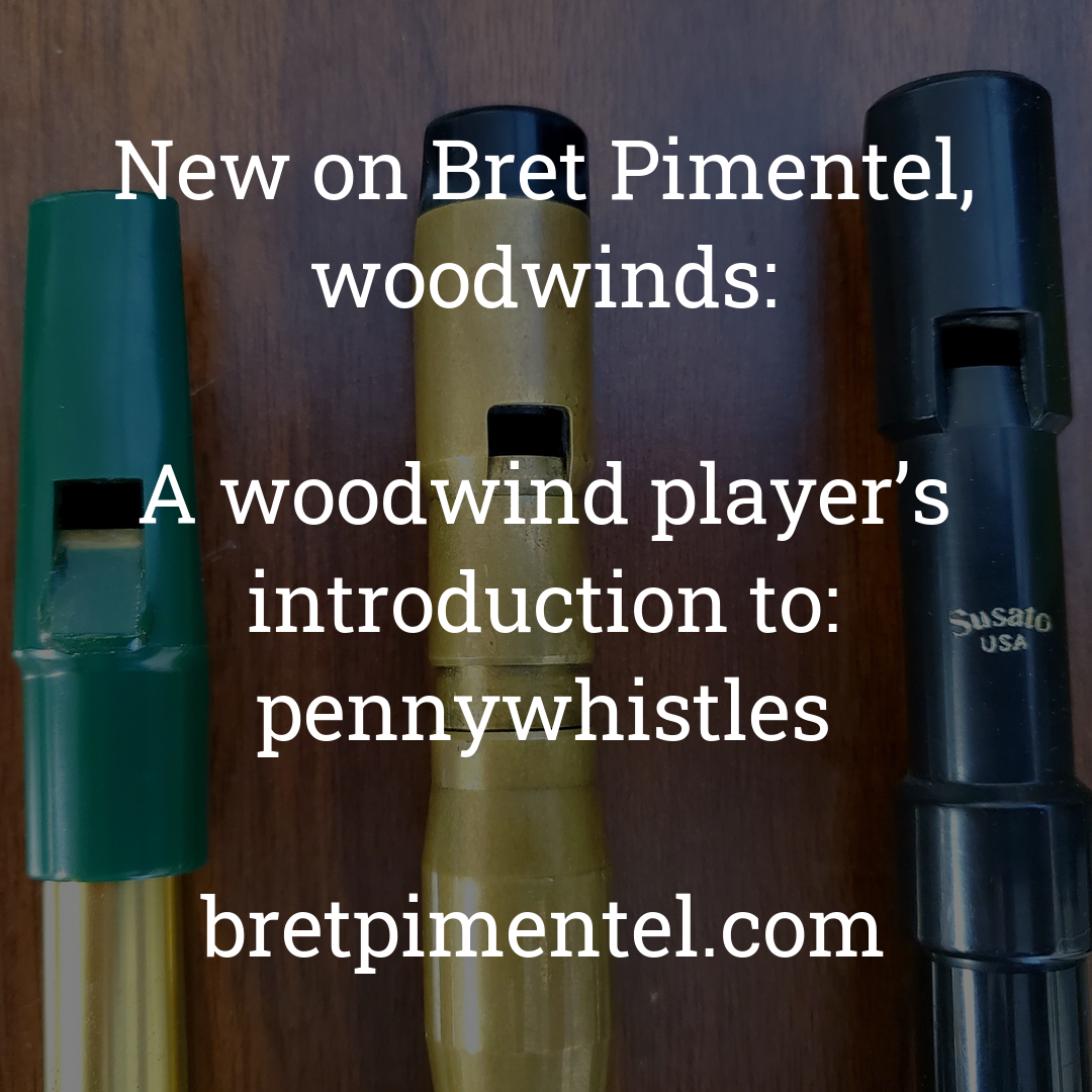 A woodwind player’s introduction to: pennywhistles