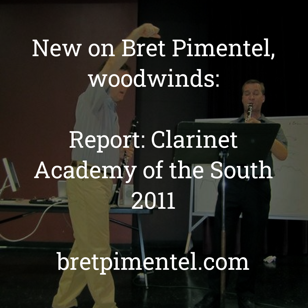 Report: Clarinet Academy of the South 2011