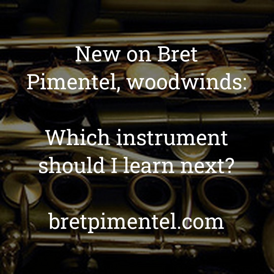 Which instrument should I learn next?