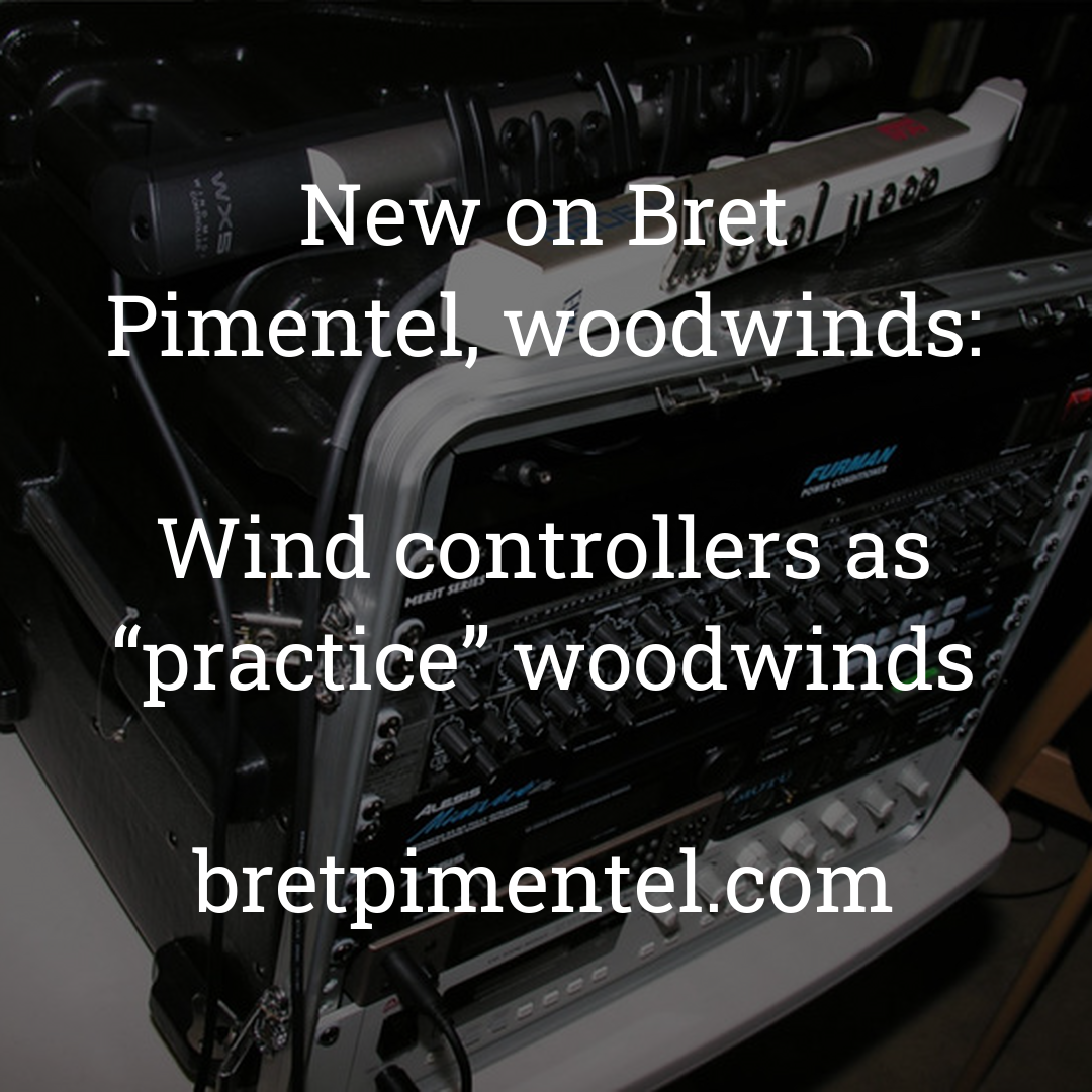 Wind controllers as “practice” woodwinds