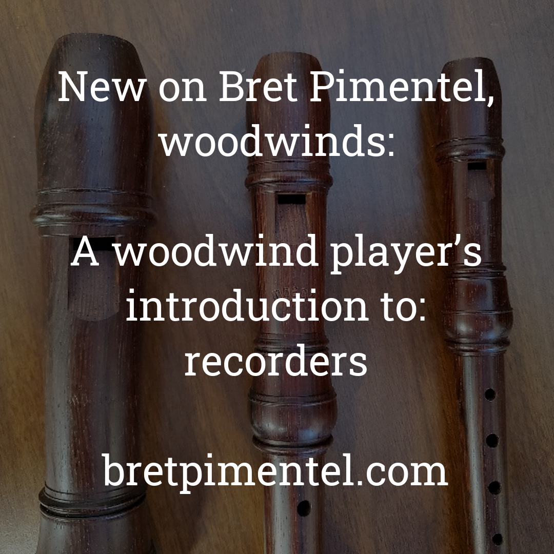 A woodwind player’s introduction to: recorders
